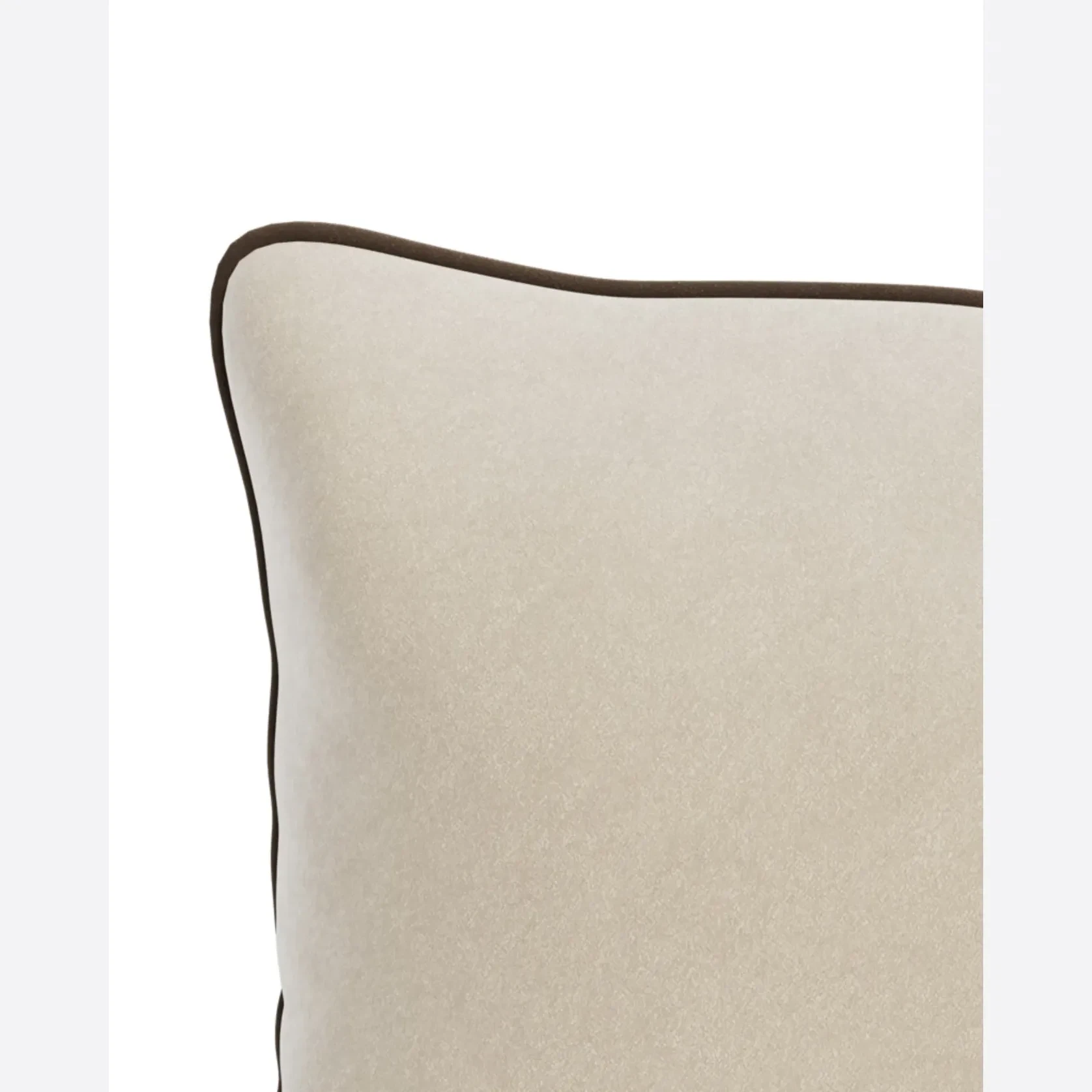 Border Cushion 40cm x 60cm - Eden Ecru / Eden Java gallery detail image