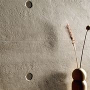 Todd Greige gallery detail image