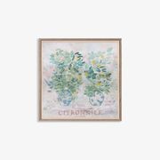 Citronnier - Limited Edition Print gallery detail image