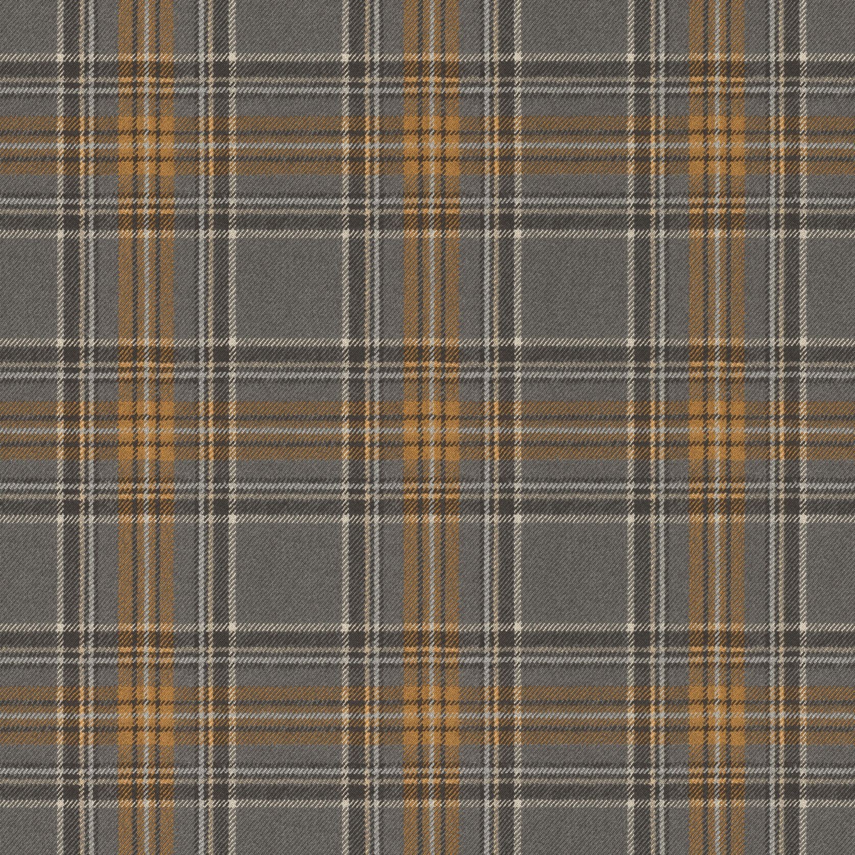 Curiosity Wallpaper (No. 537451) gallery detail image