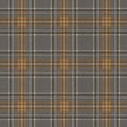 Curiosity Wallpaper (No. 537451) gallery detail image