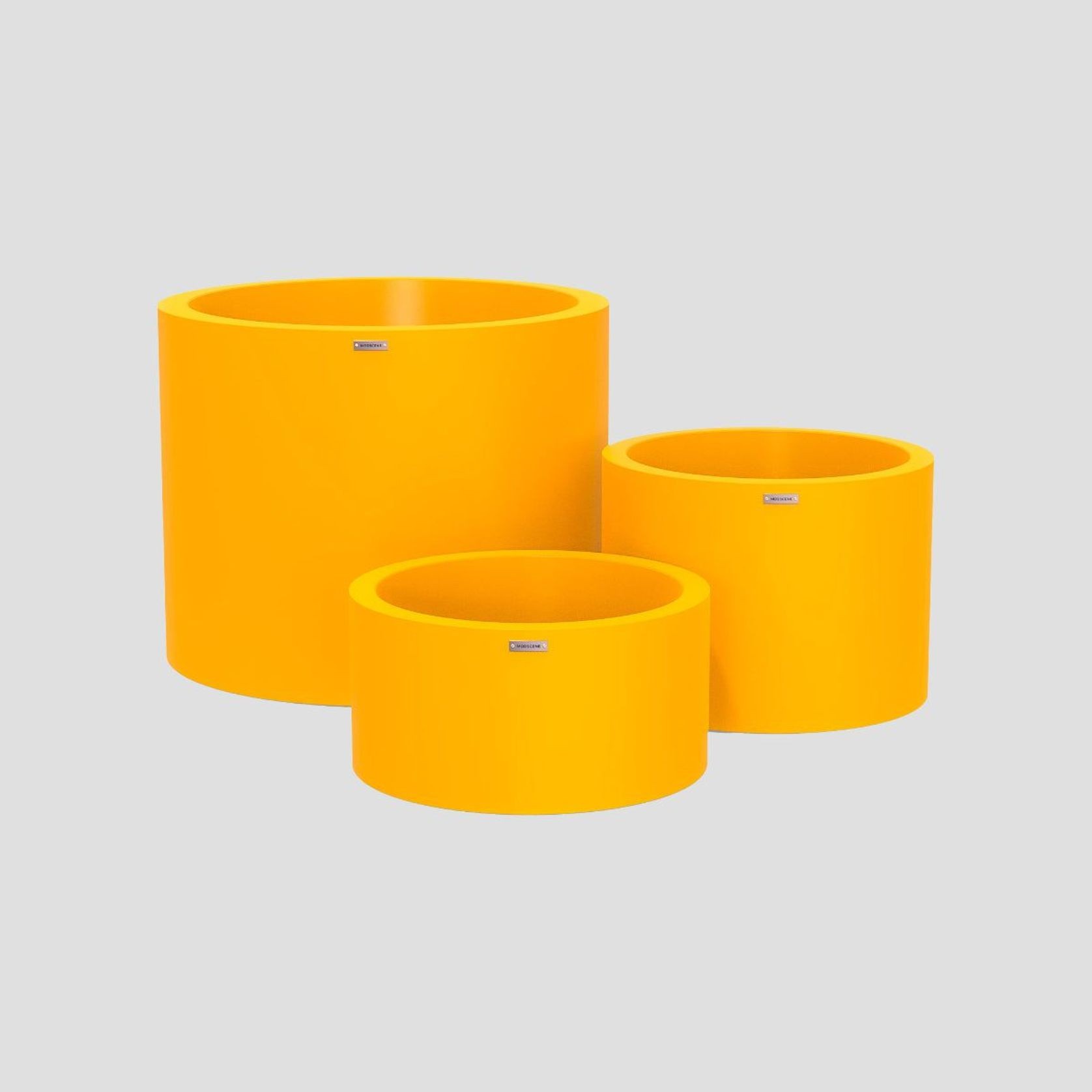 Bottomless Cylindrus Cluster gallery detail image