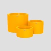 Bottomless Cylindrus Cluster gallery detail image