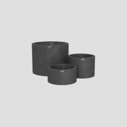 Bottomless Cylindrus Cluster gallery detail image