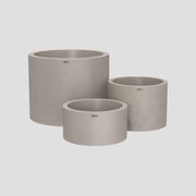 Bottomless Cylindrus Cluster gallery detail image