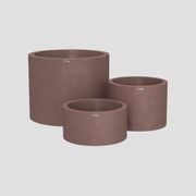 Bottomless Cylindrus Cluster gallery detail image