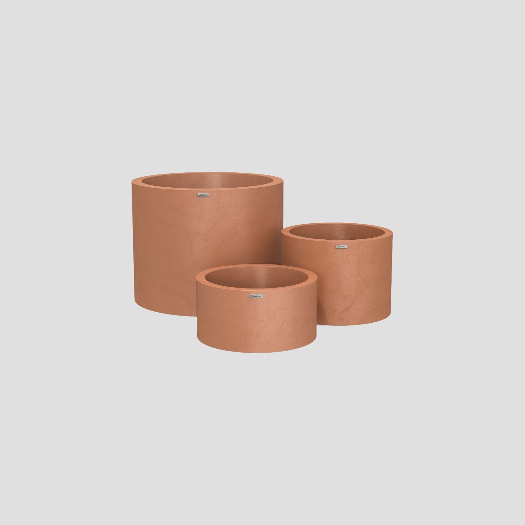 Bottomless Cylindrus Cluster gallery detail image