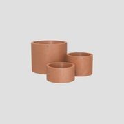 Bottomless Cylindrus Cluster gallery detail image