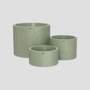 Bottomless Cylindrus Cluster gallery detail image