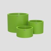 Bottomless Cylindrus Cluster gallery detail image