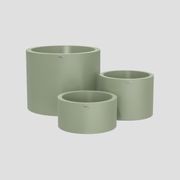 Cylindrus Cluster gallery detail image