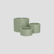 Cylindrus Cluster gallery detail image