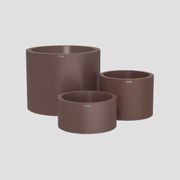 Bottomless Cylindrus Cluster gallery detail image