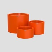 Bottomless Cylindrus Cluster gallery detail image