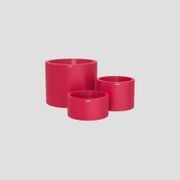 Bottomless Cylindrus Cluster gallery detail image