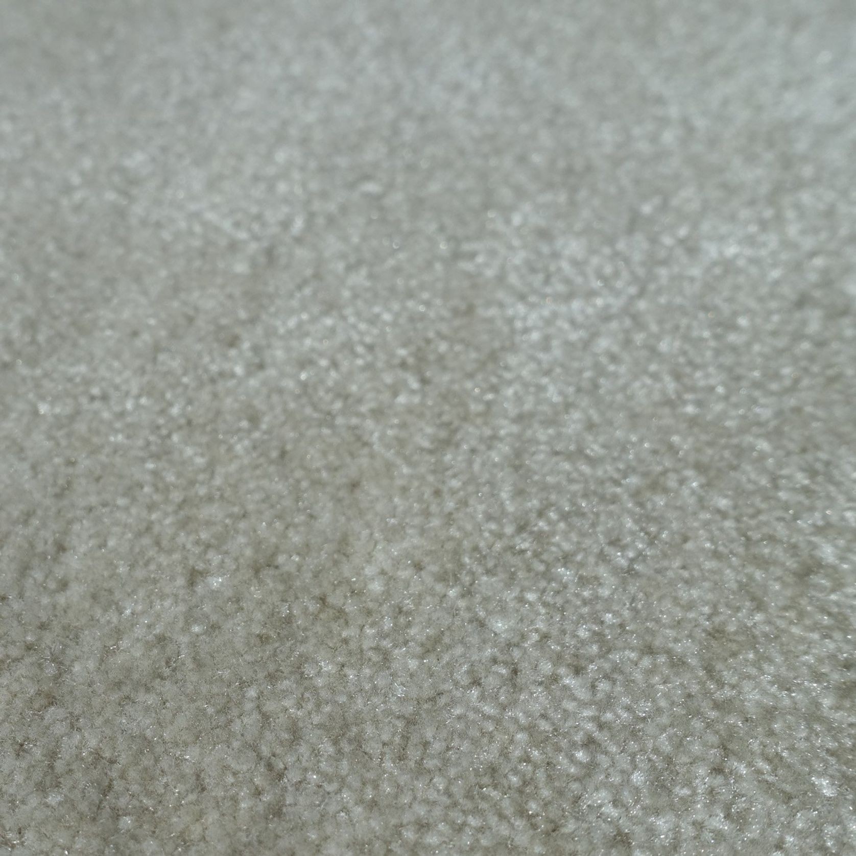 Tapis Absolute gallery detail image