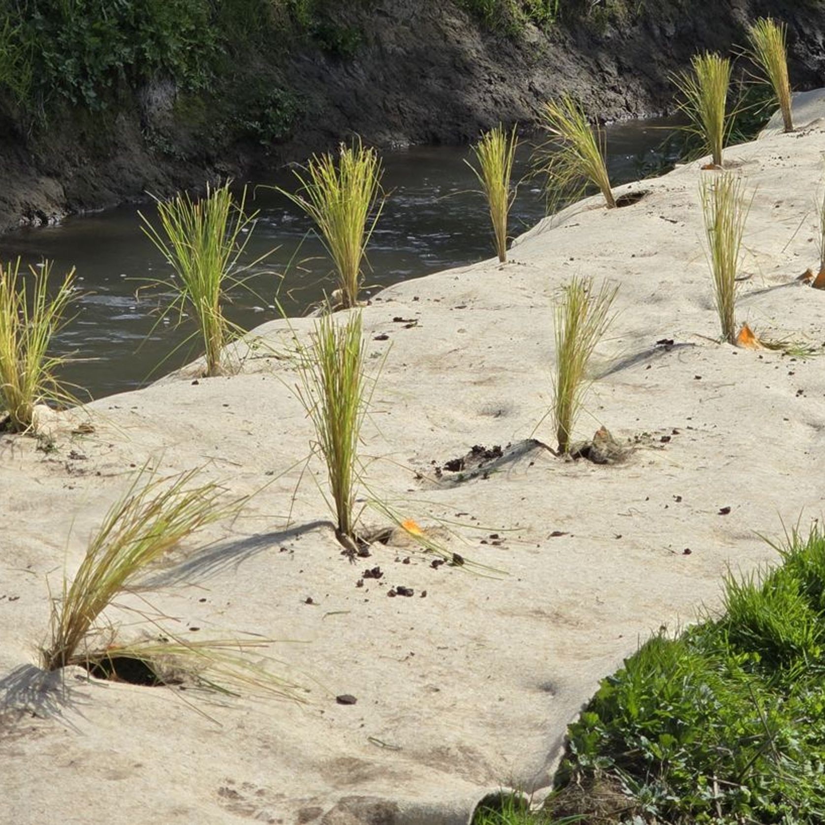 FuturFiber® DagWool 750gsm gallery detail image