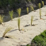 FuturFiber® DagWool 750gsm gallery detail image