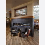 Davinci See Thru Gas Fireplace gallery detail image