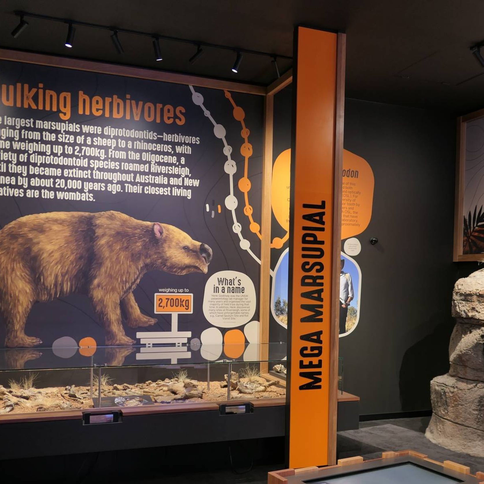 Della Track Light gallery detail image