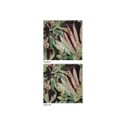 Cordyline gallery detail image