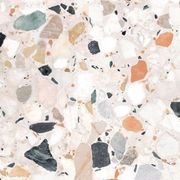 Dino Autumn gallery detail image