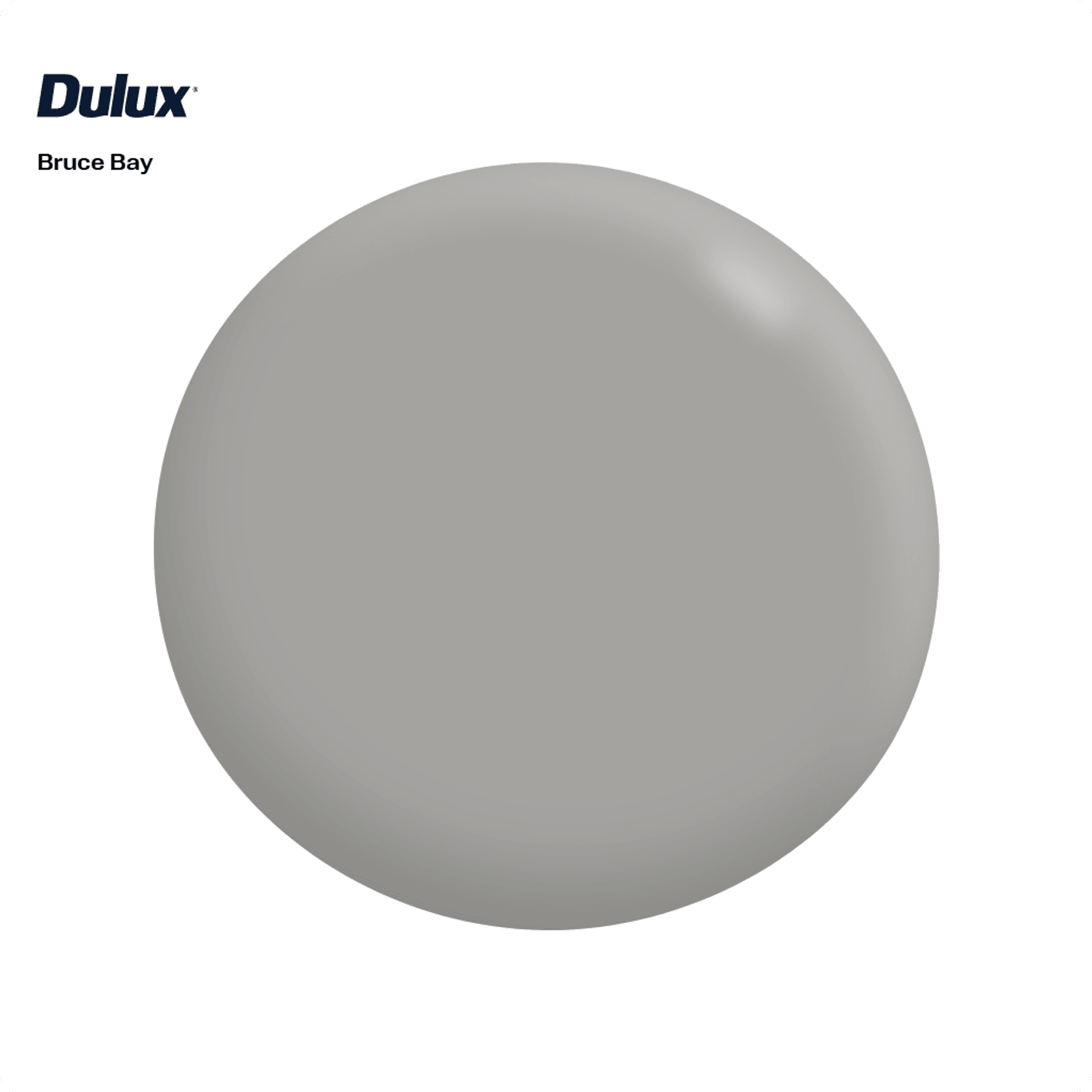 Dulux Bruce Bay Paint, Greys gallery detail image