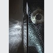 Echo Showcase gallery detail image