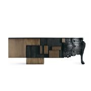 Evolution gallery detail image