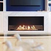 EcoSmart™ Flex 104SS.BX2 Single Sided Fireplace Insert gallery detail image