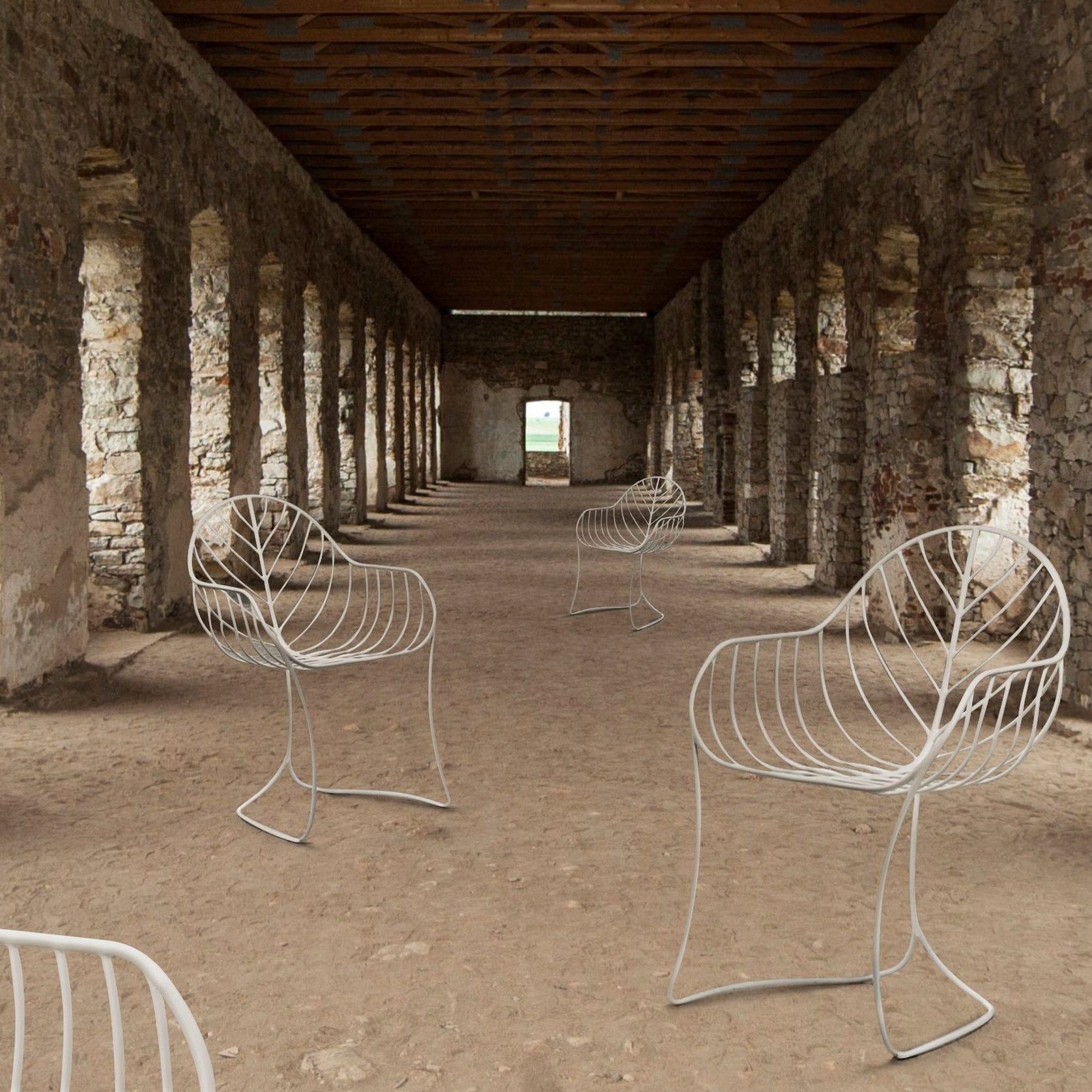 Folia gallery detail image