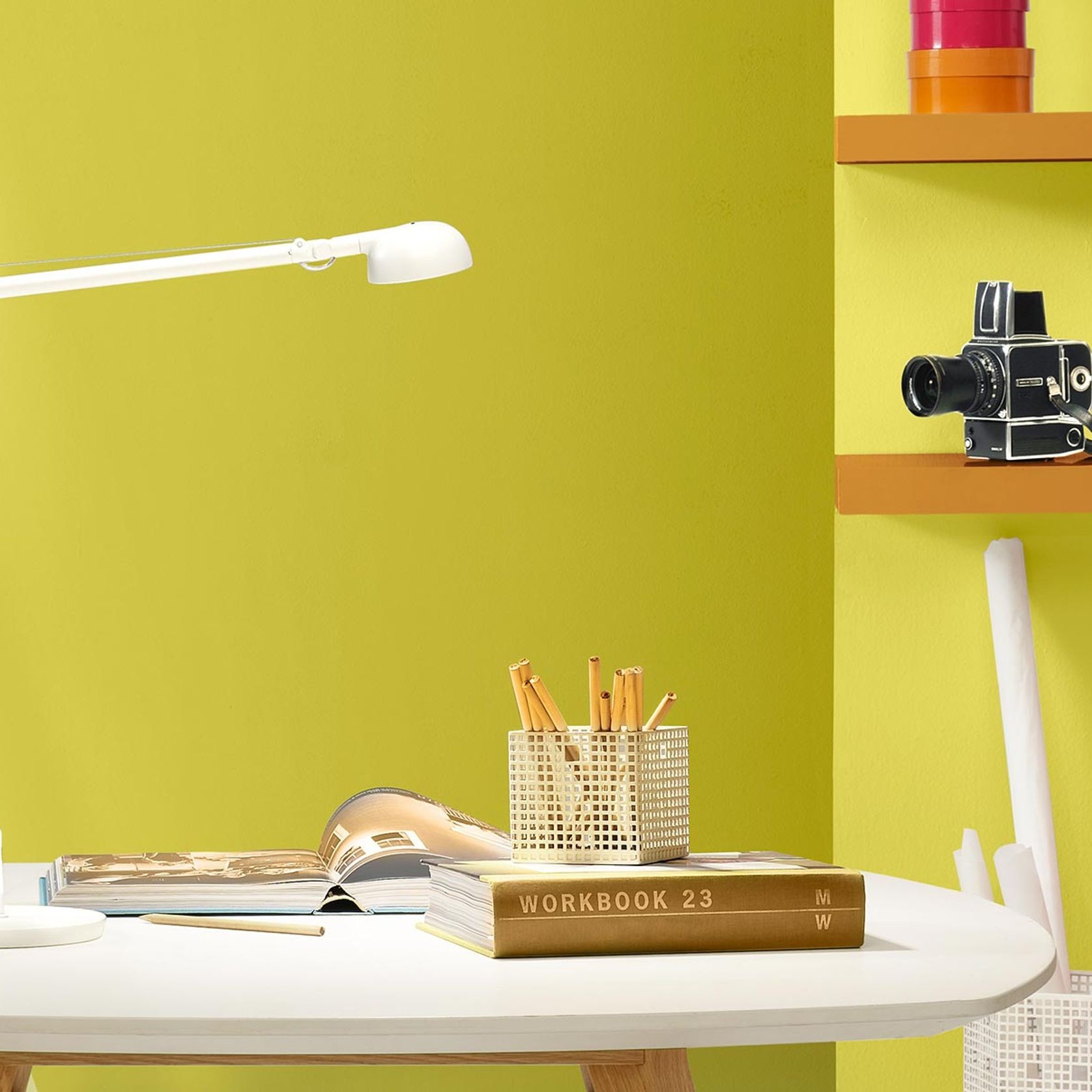 Opuntia Wall & Ceiling Lamp gallery detail image