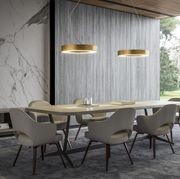 Silver Ring Suspension and Surface Light gallery detail image