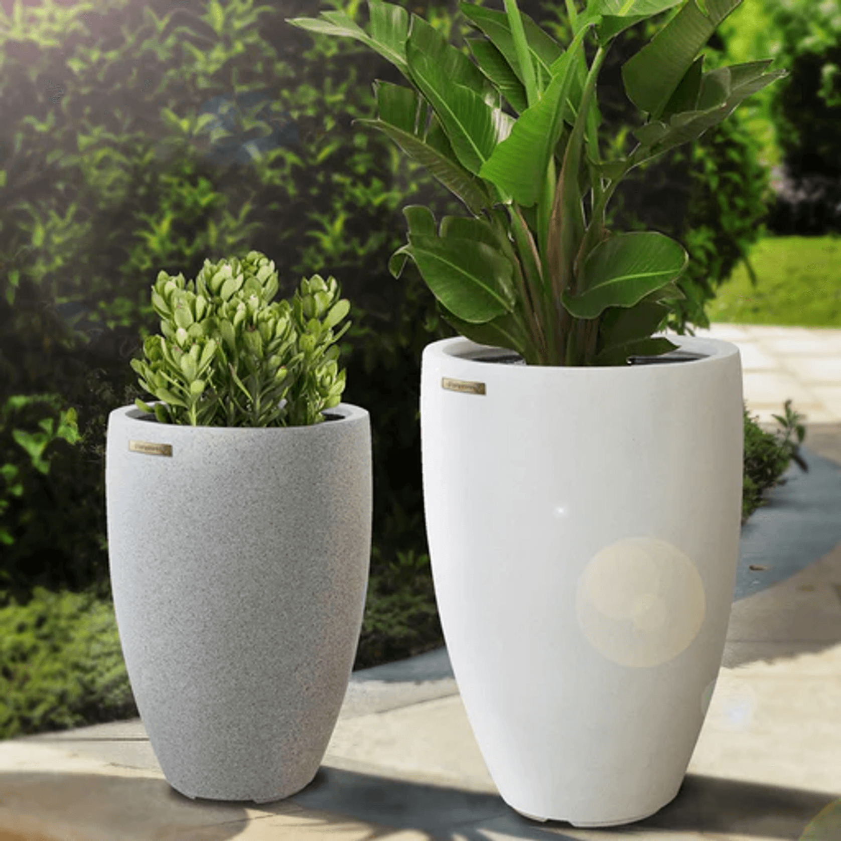 Franoma - Tampa Planter gallery detail image