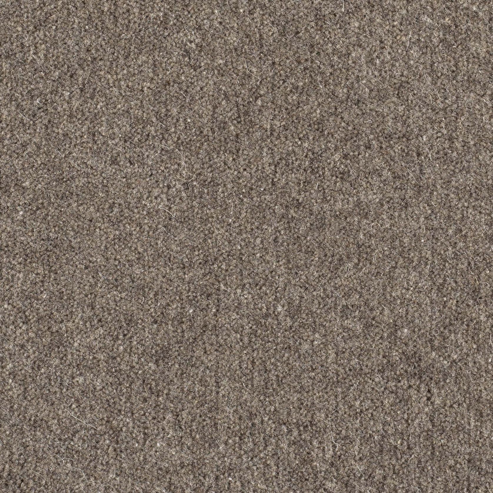 Fat Cat gallery detail image