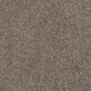 Fat Cat gallery detail image