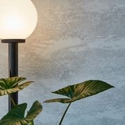 Gough gallery detail image