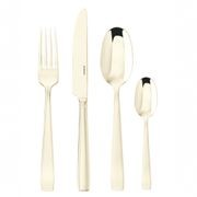 Flat PVD Champagne 24 Piece Set gallery detail image