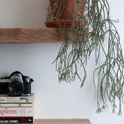 Macrocarpa Floating Shelf 20cm gallery detail image