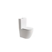 Flow Typhoon Standard BTW Toilet Suite gallery detail image