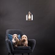 Frieda Glass Pendant - Clear gallery detail image