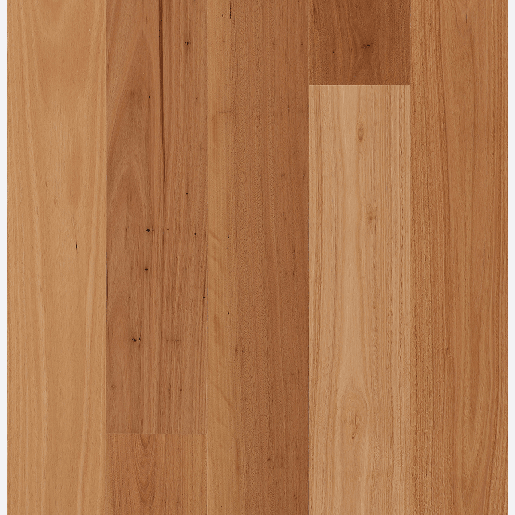 Blackbutt | Maison Engineered Flooring gallery detail image