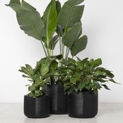 Gothenburg Lined Cylinder gallery detail image