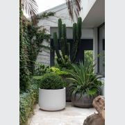 Air Bullet gallery detail image