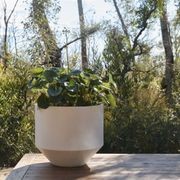 Air Furore gallery detail image