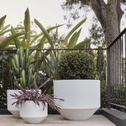 Air Furore gallery detail image