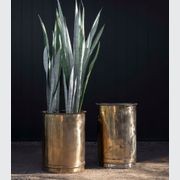 Antique Brass Tall Planter gallery detail image