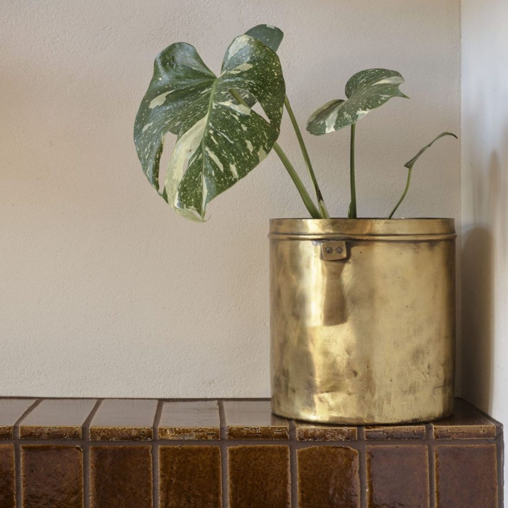 Antique Brass Planter gallery detail image