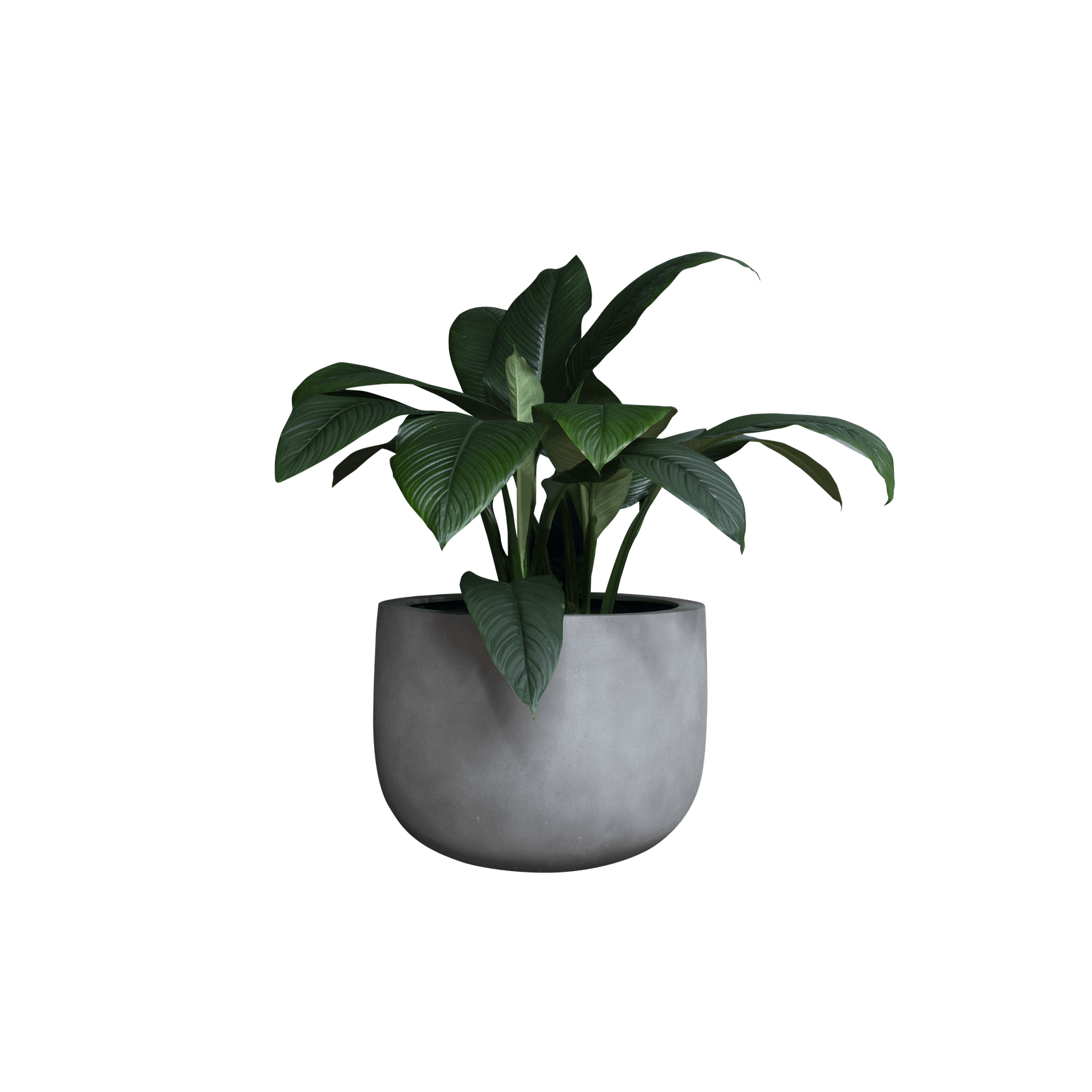 Duralite Deep Bowl gallery detail image