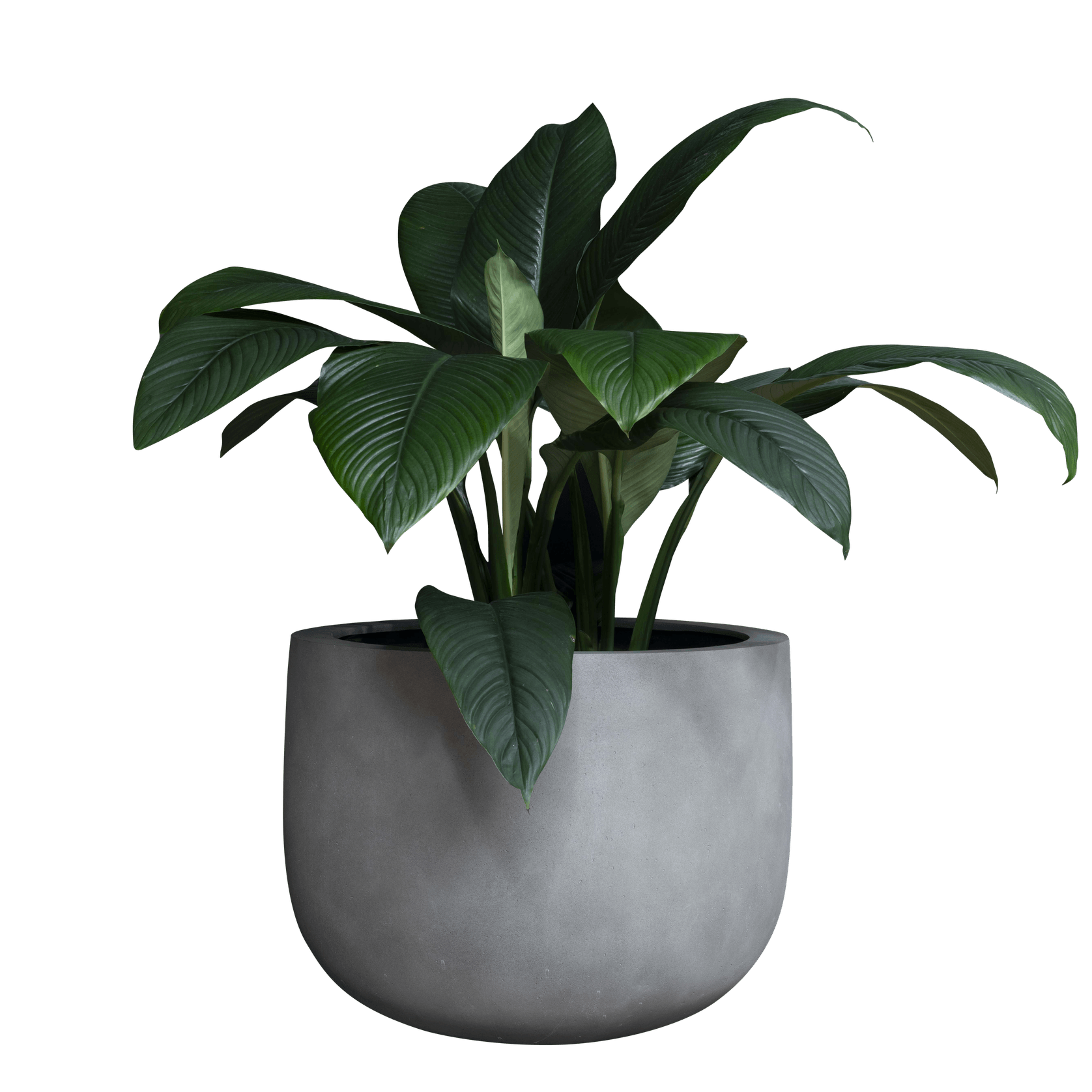 Duralite Deep Bowl gallery detail image